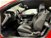 Ford Mustang Coupé Fastback 5.0 V8 TiVCT GT  del 2017 usata a Brescia (9)