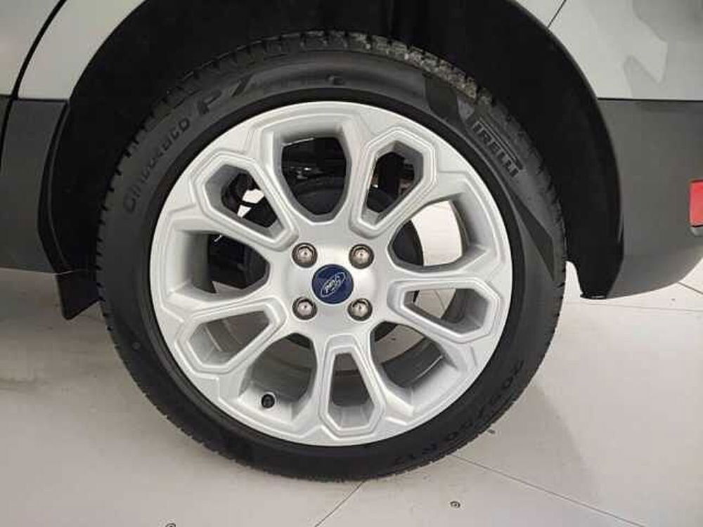 Ford EcoSport usata a Torino (10)