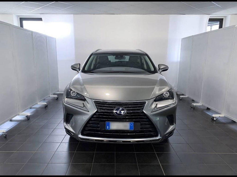 Lexus NX usata a Torino