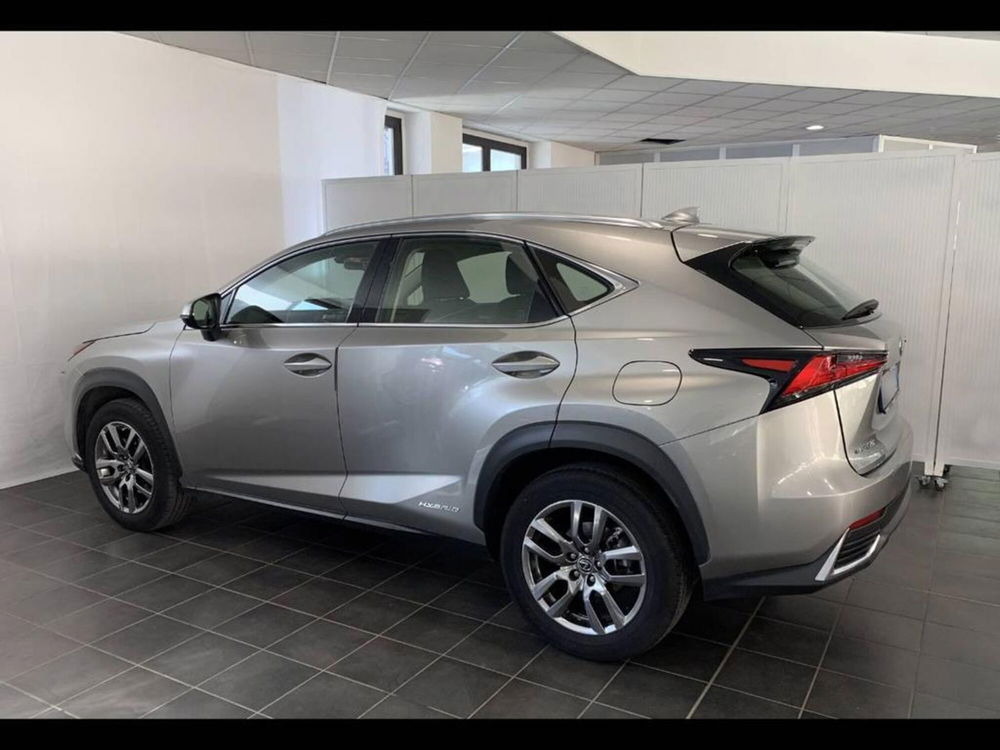 Lexus NX Hybrid 4WD Executive  del 2018 usata a Torino (4)