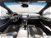 Ford Edge 2.0 EcoBlue 238 CV AWD Start&Stop aut. ST-Line  del 2019 usata a Albano Laziale (8)