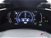 Lexus NX 350h 2.5 F-Sport 4wd e-cvt del 2022 usata a Corciano (13)