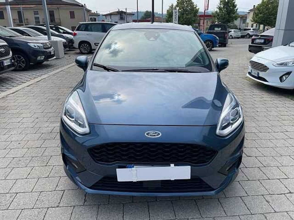 Ford Fiesta usata a Cuneo (2)