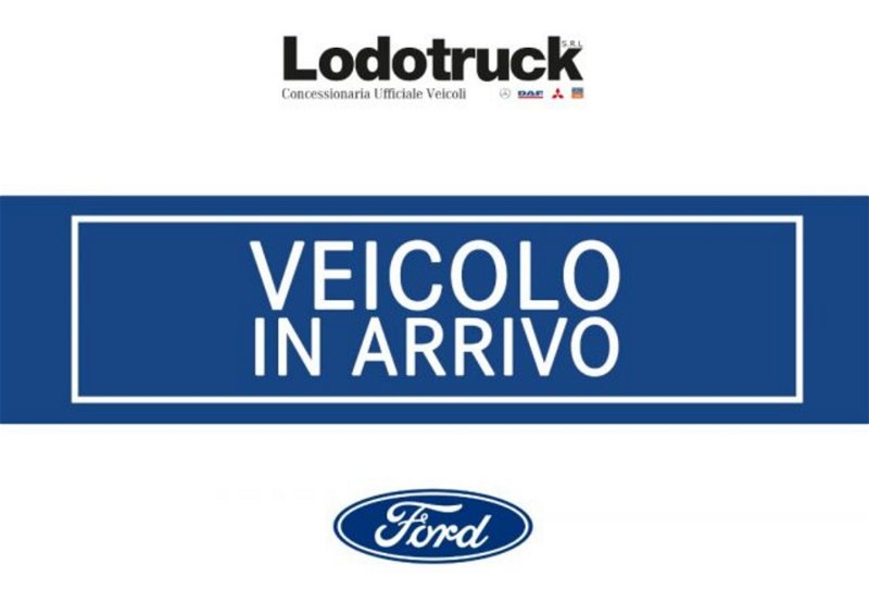 Ford Transit Furgone 310 2.0TDCi EcoBlue 130CV PL-TM Combi Trend  del 2019 usata a Filago