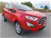 Ford EcoSport 1.5 Ecoblue 95 CV Start&Stop del 2020 usata a Grumolo delle Abbadesse (11)