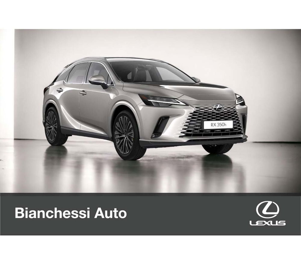 Lexus RX nuova a Cremona (16)