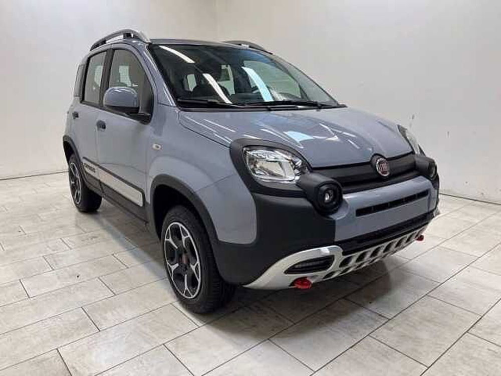 Fiat Panda nuova a Cuneo (3)