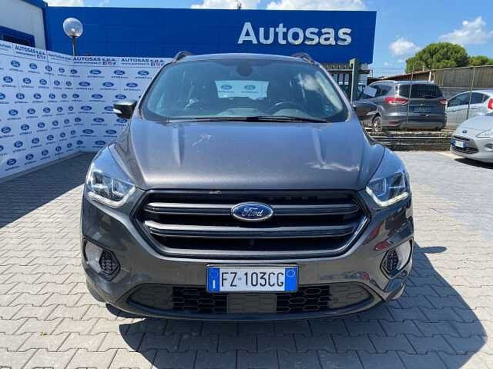 Ford Kuga 2.0 TDCI 120 CV S&S 2WD Powershift ST-Line  del 2019 usata a Firenze (4)