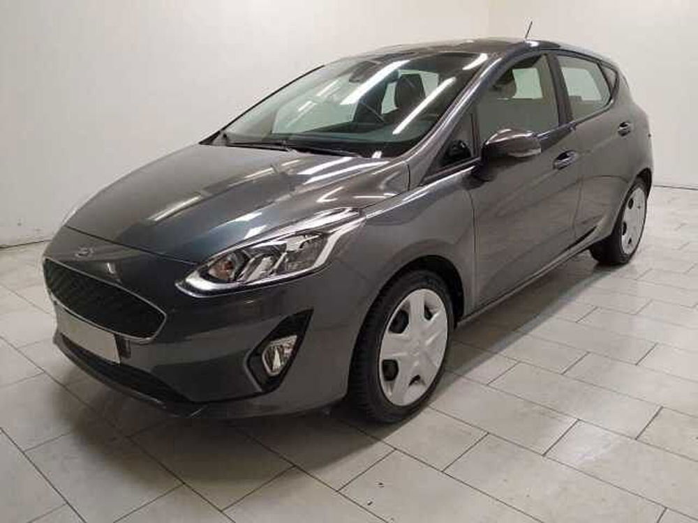 Ford Fiesta usata a Cuneo