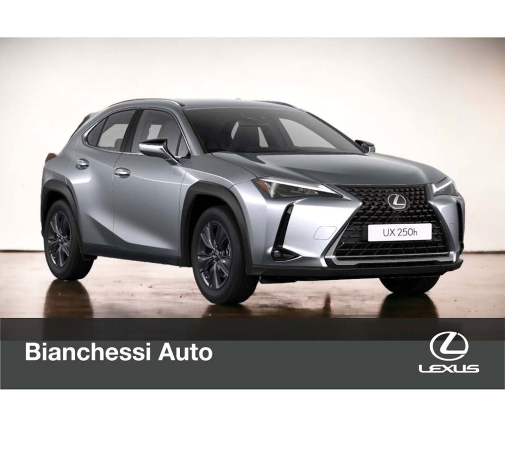 Lexus UX nuova a Cremona (17)