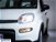 Fiat Panda 1.0 FireFly S&S Hybrid Easy nuova a San Paolo d'Argon (17)