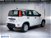 Fiat Panda 1.0 FireFly S&S Hybrid Easy nuova a San Paolo d'Argon (6)