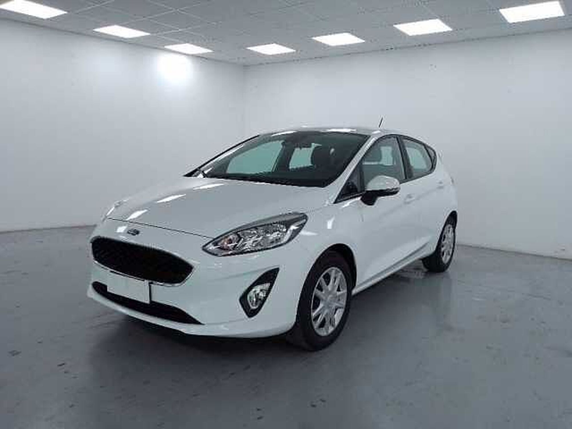 Ford Fiesta 1.1 85 CV 5 porte Plus  del 2019 usata a Cuneo