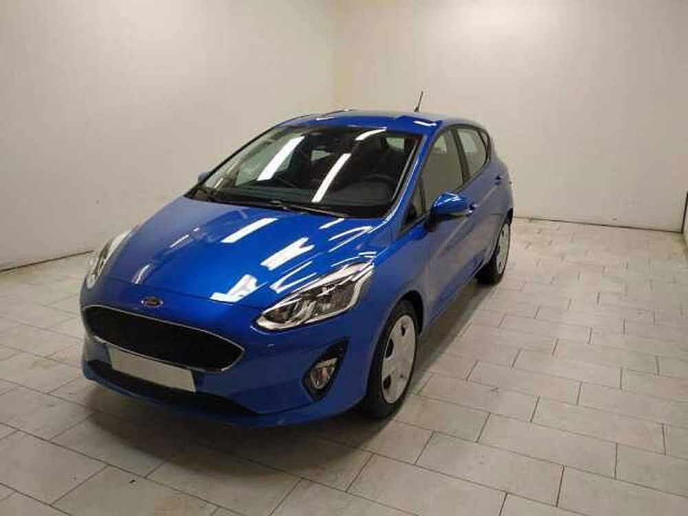 Ford Fiesta usata a Cuneo