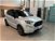 Ford EcoSport 1.0 EcoBoost 100 CV ST-Line  del 2020 usata a Melegnano (11)