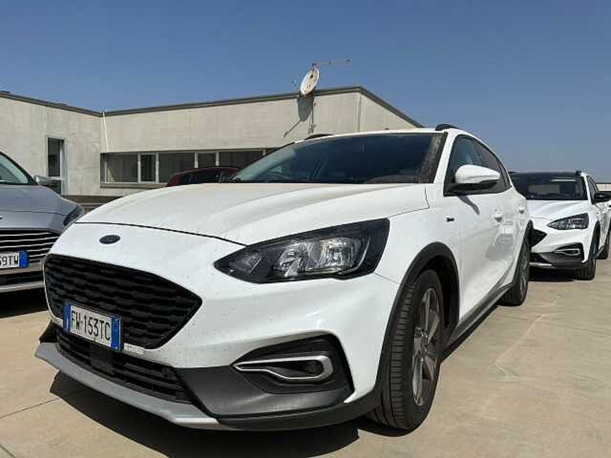 Ford Focus 1.5 EcoBlue 120 CV 5p. Active  del 2019 usata a Cagliari