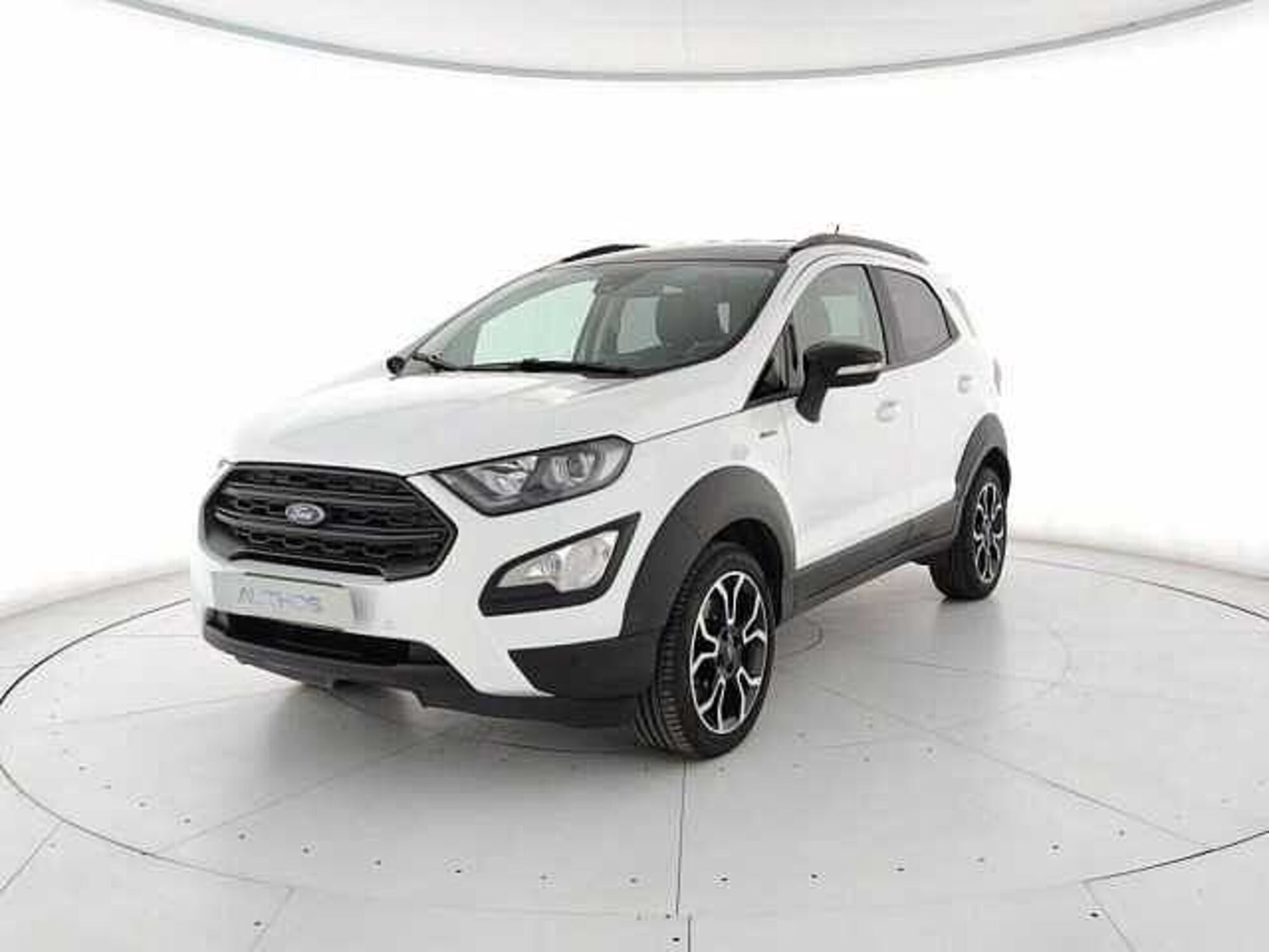 Ford EcoSport 1.0 EcoBoost 125 CV Start&amp;Stop Active del 2021 usata a Torino