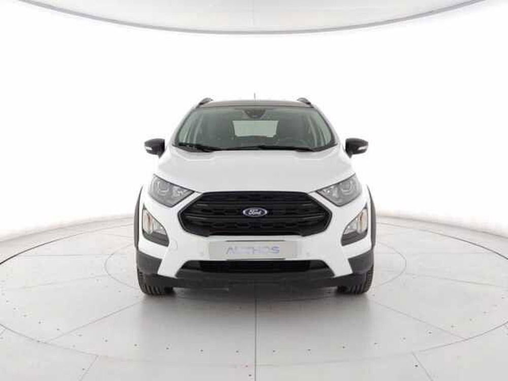 Ford EcoSport 1.0 EcoBoost 125 CV Start&Stop Active del 2021 usata a Torino (5)