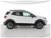Ford EcoSport 1.0 EcoBoost 125 CV Start&Stop Active del 2021 usata a Torino (7)