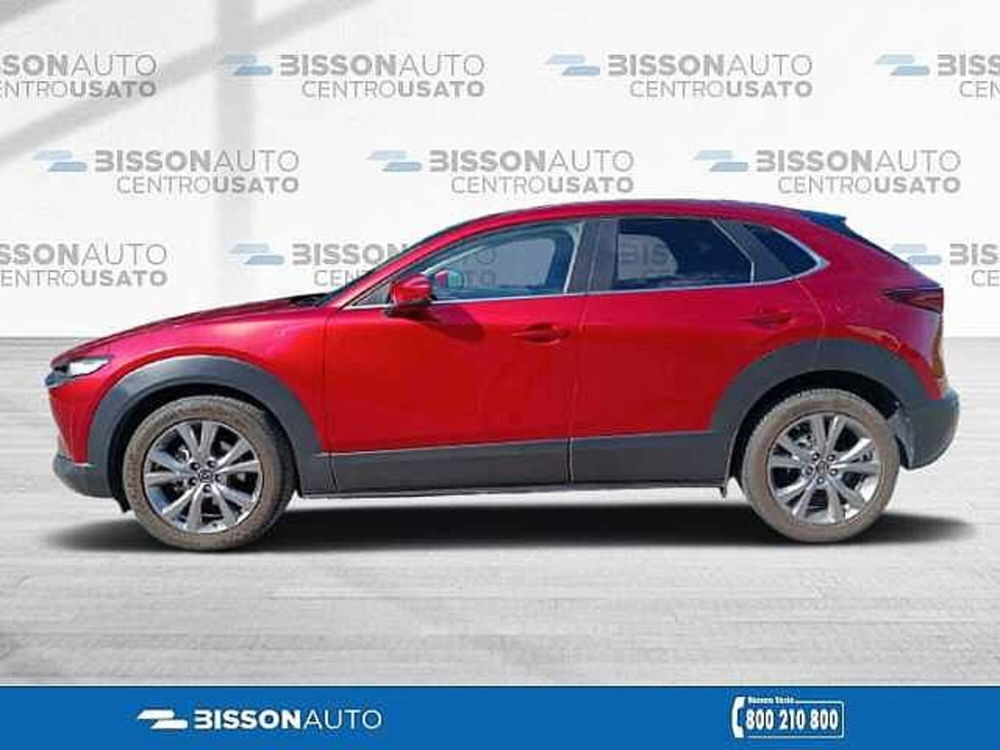 Mazda CX-30 Skyactiv-G 150 CV M Hybrid 2WD Executive del 2020 usata a Grumolo delle Abbadesse (3)