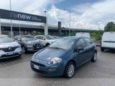 Fiat Punto 1.2 8V 5 porte Street  del 2018 usata a Pordenone