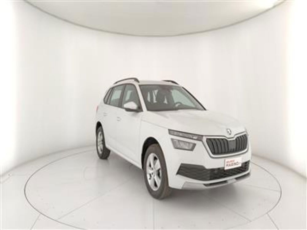 Skoda Kamiq usata a Bari (11)