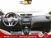 Nissan X-Trail dCi 150 2WD N-Connecta del 2019 usata a San Giovanni Teatino (14)