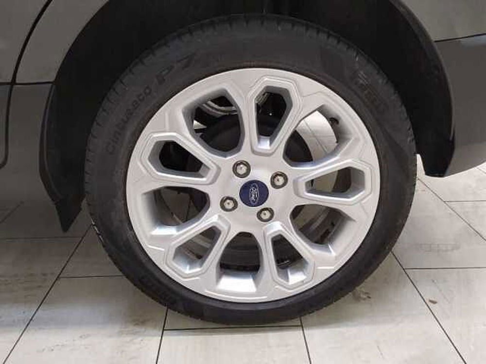 Ford EcoSport usata a Cuneo (6)