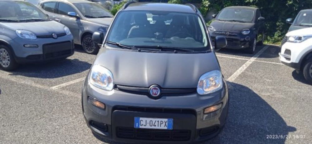 Fiat Panda usata a Frosinone