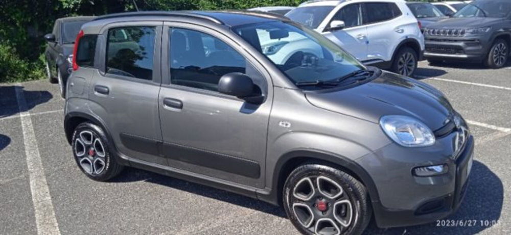 Fiat Panda usata a Frosinone (2)