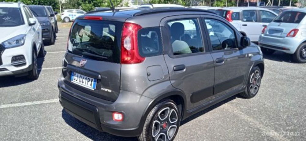 Fiat Panda usata a Frosinone (3)