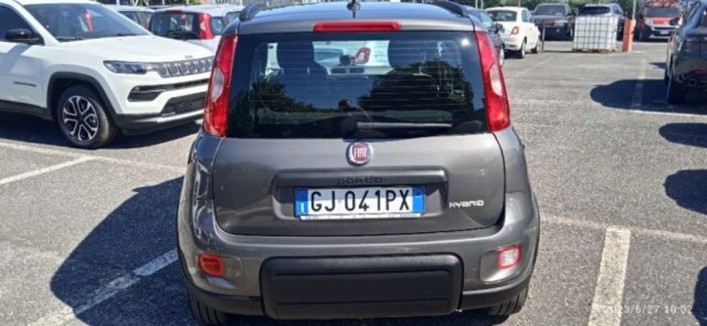 Fiat Panda usata a Frosinone (4)