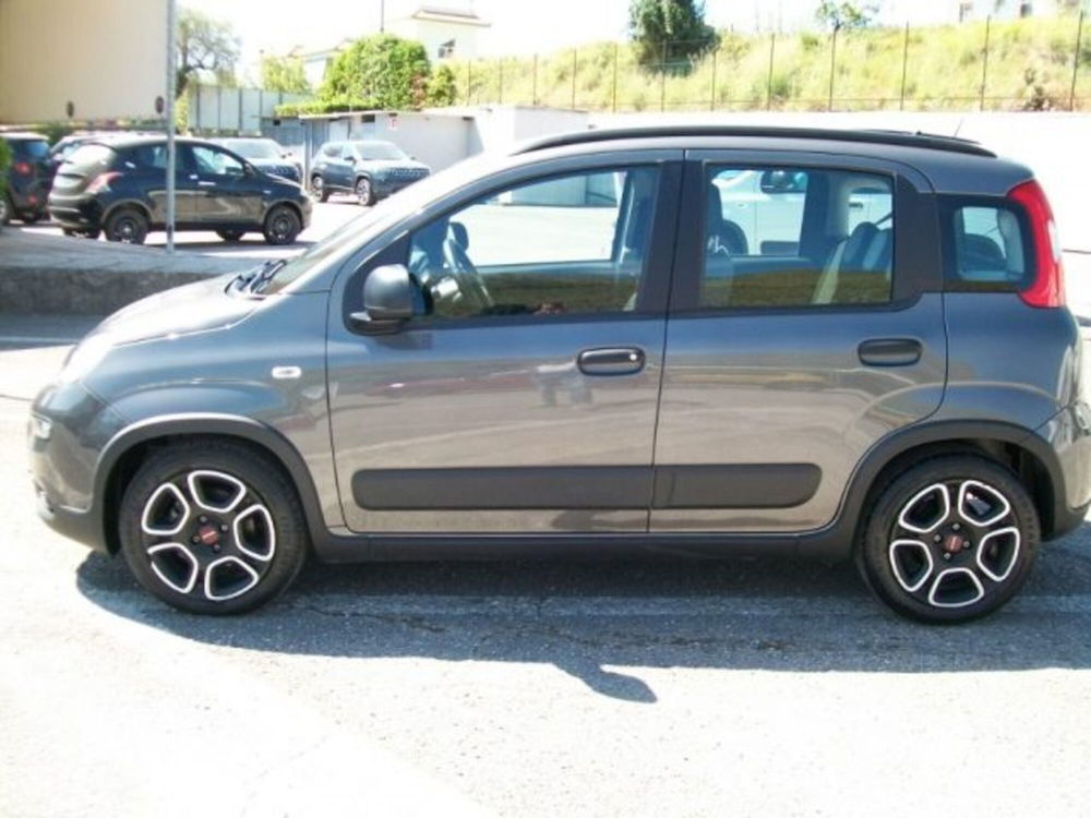 Fiat Panda usata a Frosinone (2)