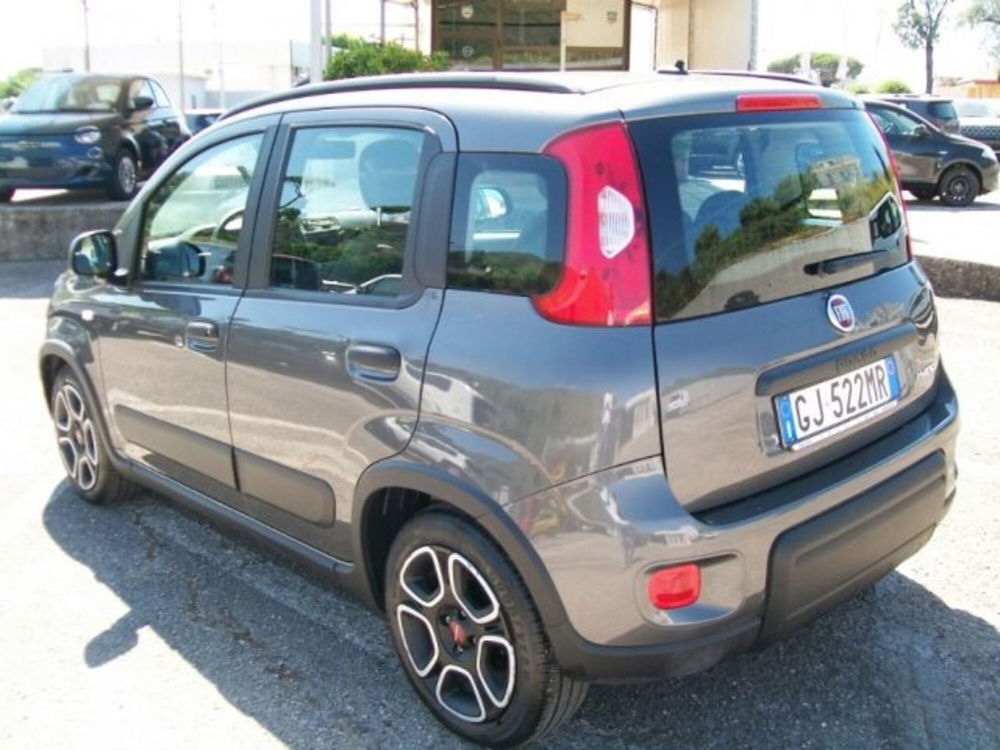 Fiat Panda usata a Frosinone (3)