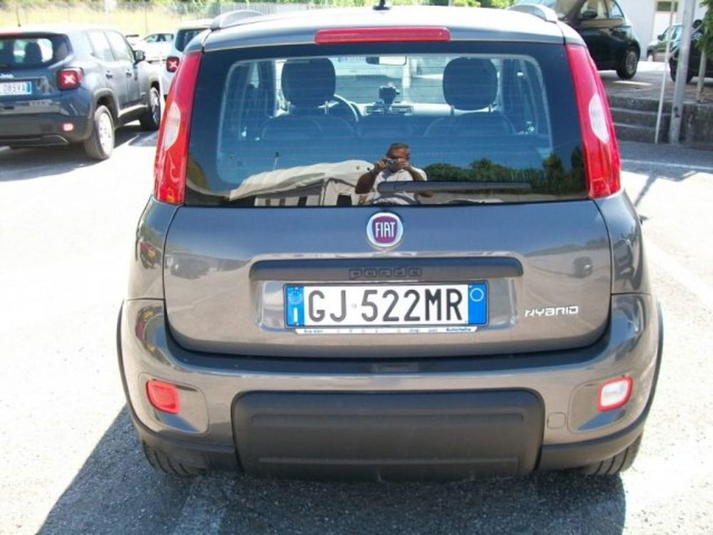 Fiat Panda usata a Frosinone (4)