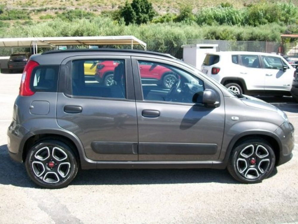 Fiat Panda usata a Frosinone (6)