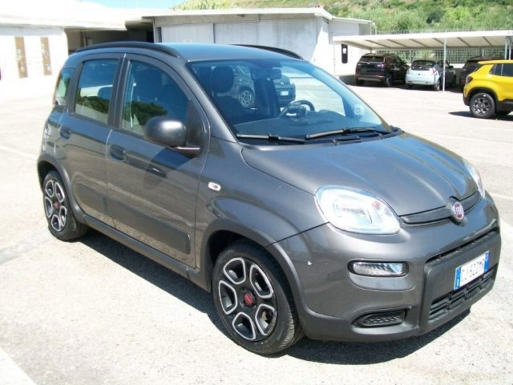 Fiat Panda usata a Frosinone (7)