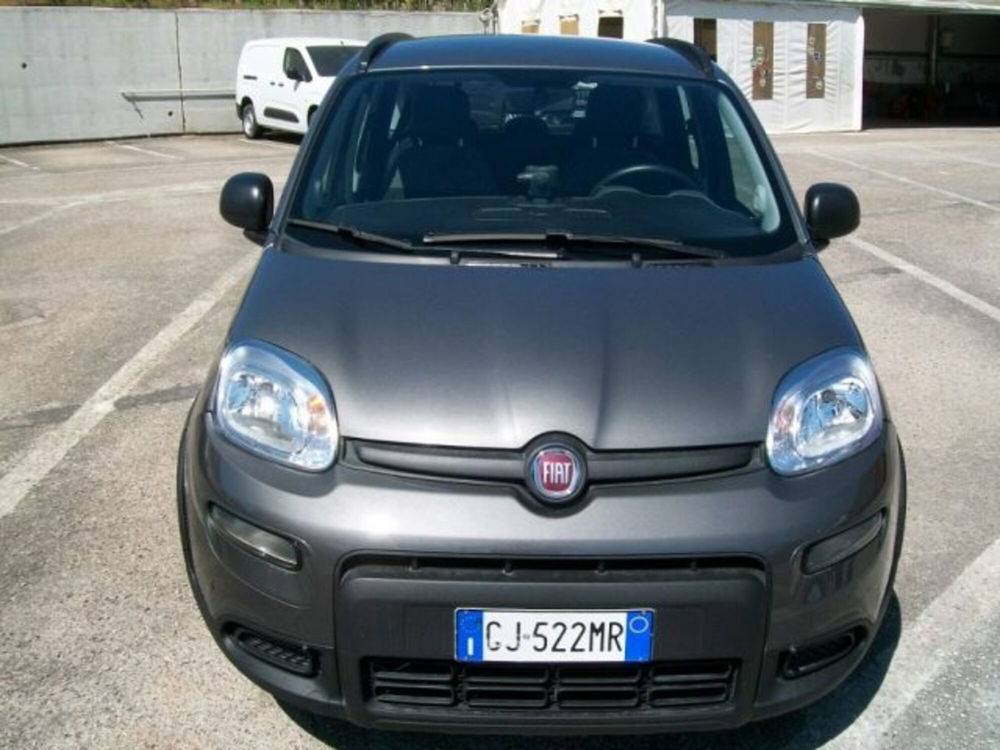 Fiat Panda usata a Frosinone (9)