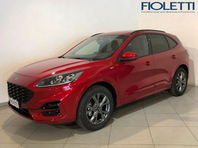 Ford Kuga 1.5 EcoBlue 120 CV aut. 2WD ST-Line X  del 2020 usata a Desenzano del Garda