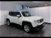 Jeep Renegade 1.6 Mjt DDCT 120 CV Limited  del 2016 usata a Torino (14)