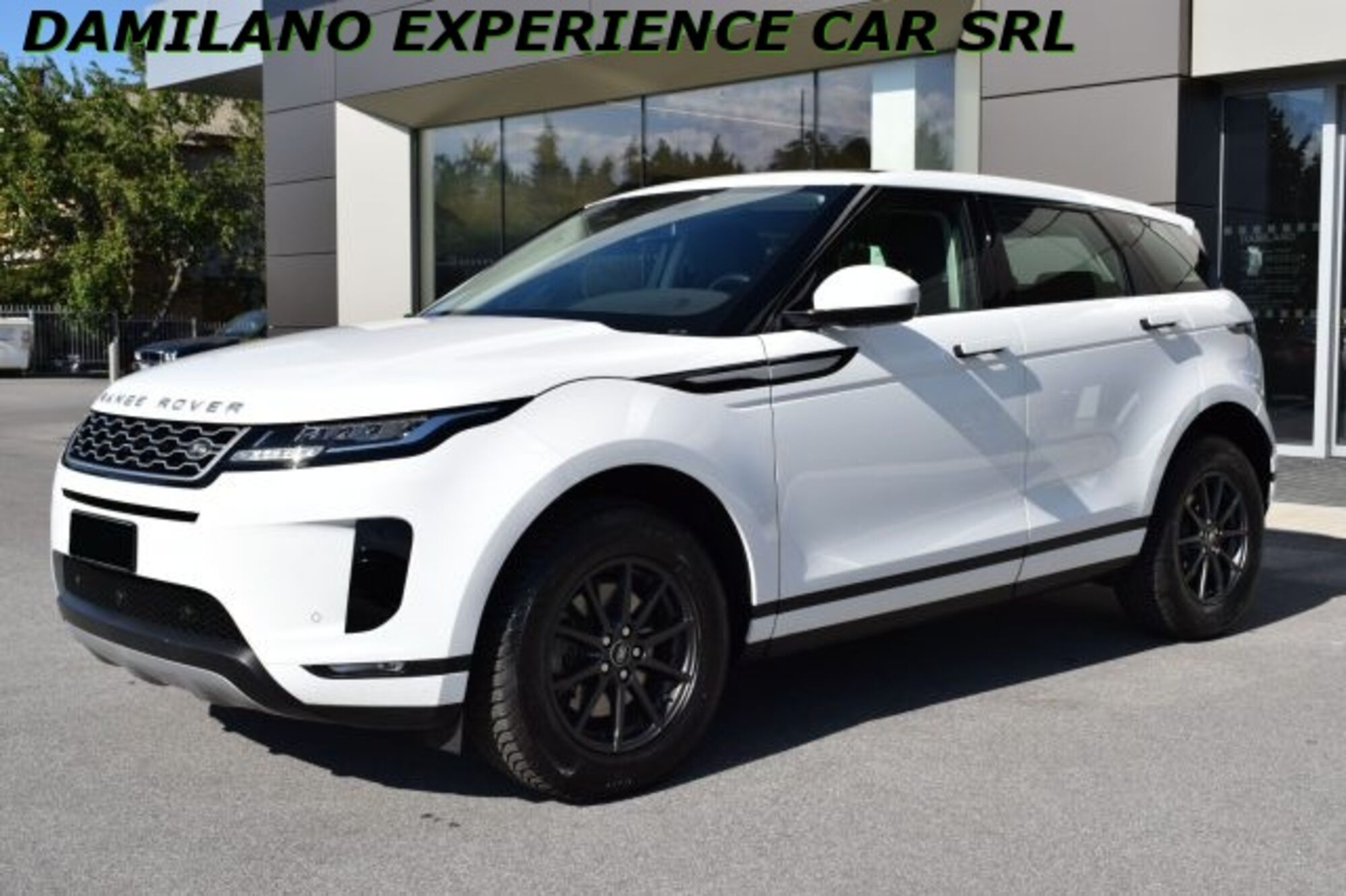 Land Rover Range Rover Evoque 2.0D I4-L.Flw 150 CV del 2019 usata a Cuneo