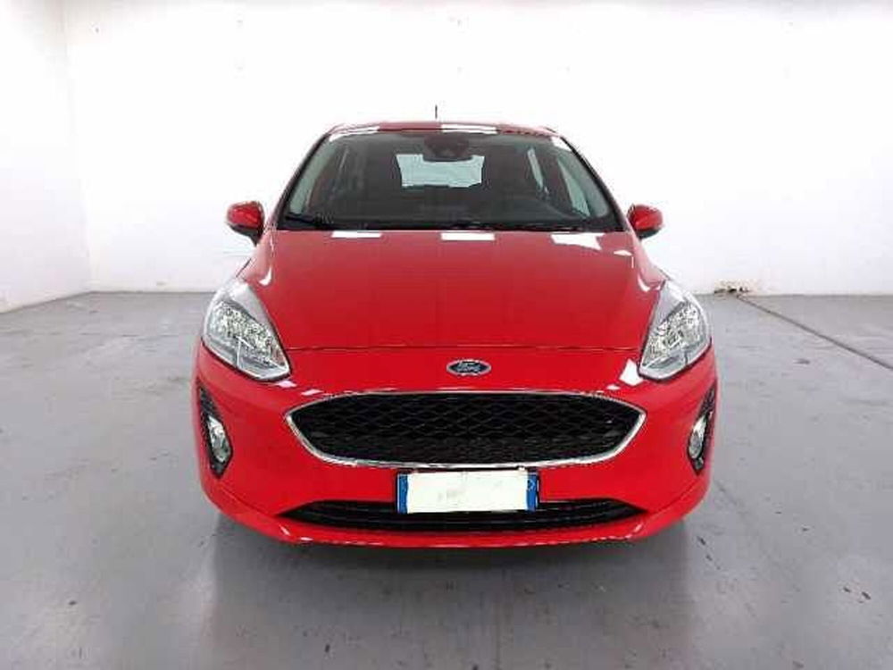 Ford Fiesta usata a Cuneo (2)