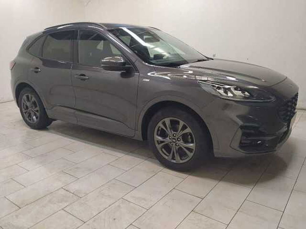 Ford Kuga usata a Cuneo (3)