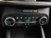Ford Focus Station Wagon 1.5 EcoBlue 120 CV automatico SW Vignale del 2019 usata a Torino (14)