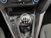 Ford Focus Station Wagon 1.5 TDCi 95 CV Start&Stop SW Plus del 2017 usata a Torino (14)