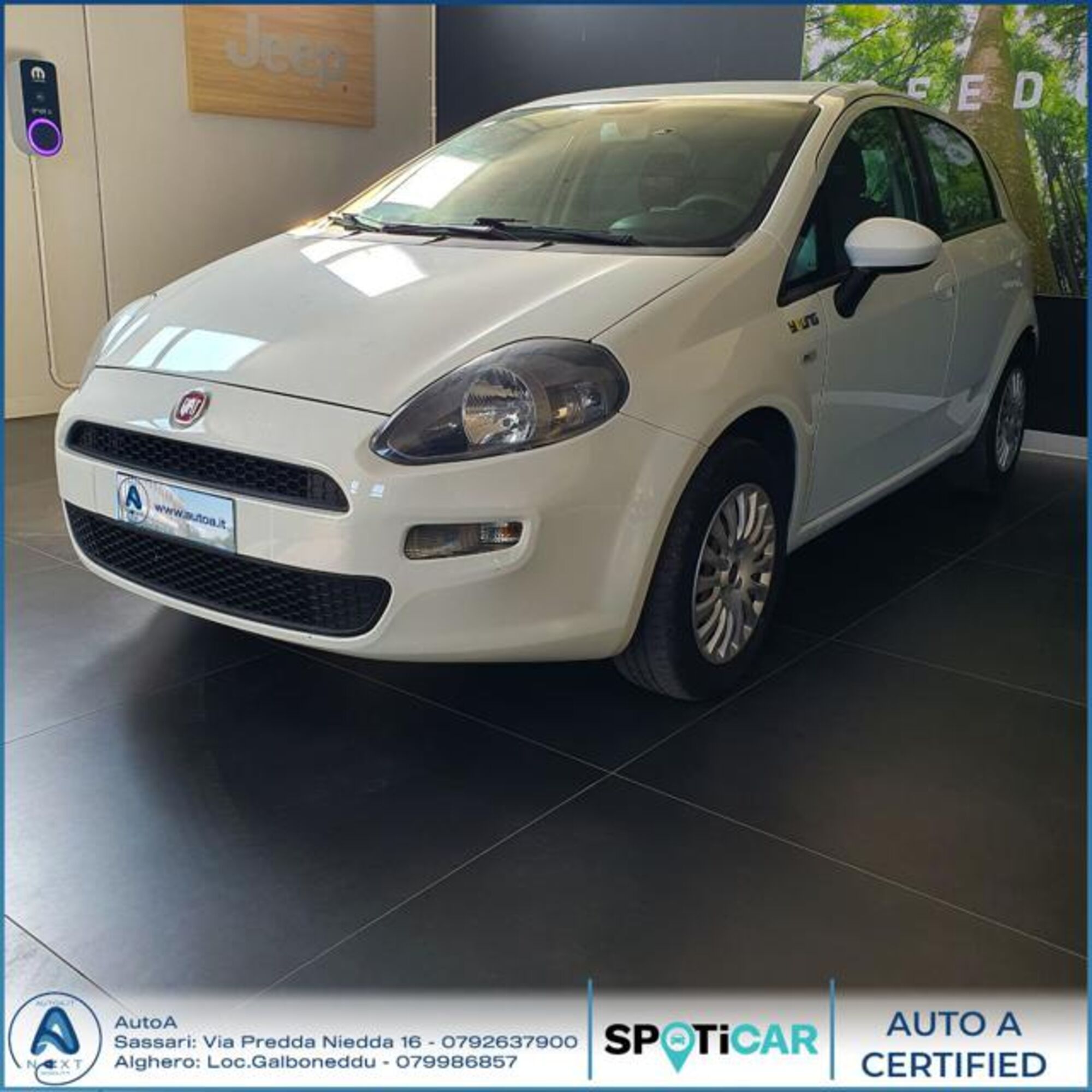 Fiat Punto 1.4 8V 5 porte Easypower Young  del 2014 usata a Sassari