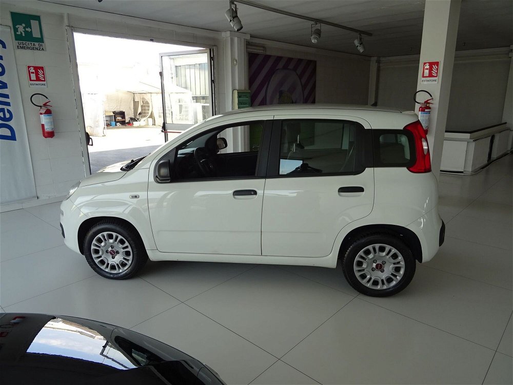 Fiat Panda 1.3 MJT 95 CV S&S Easy  del 2018 usata a Lucca (2)