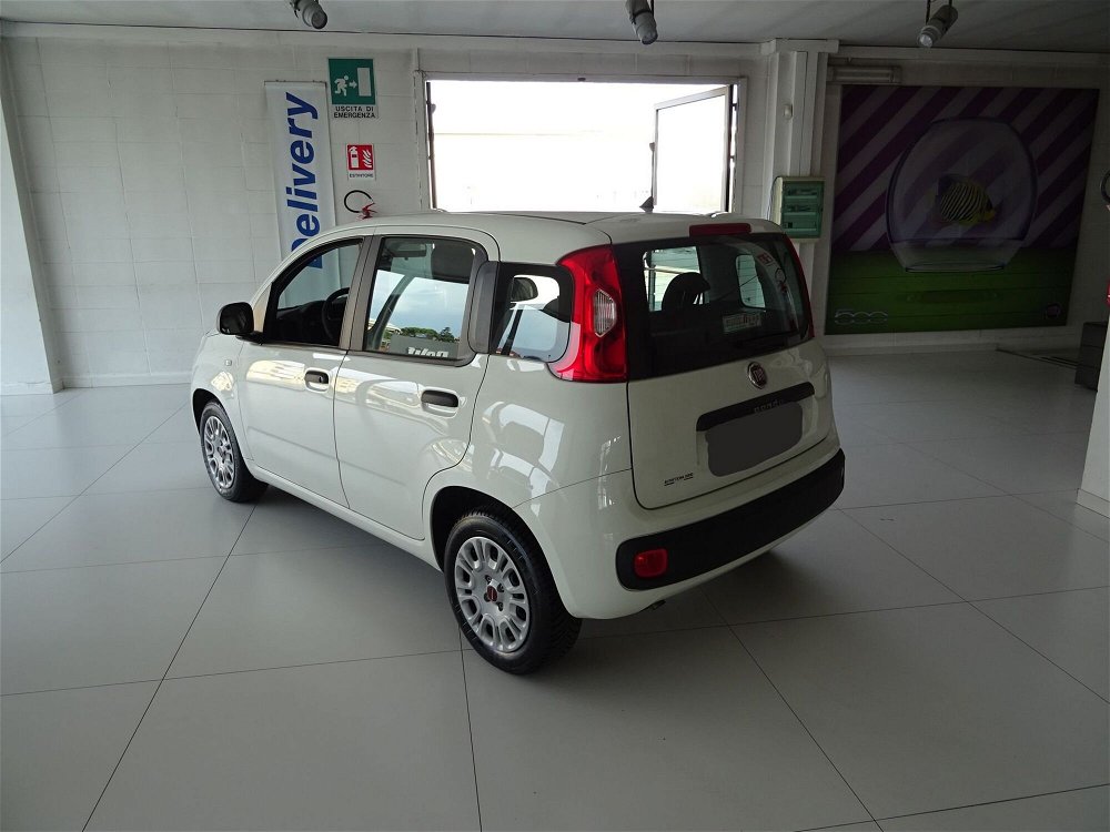 Fiat Panda 1.3 MJT 95 CV S&S Easy  del 2018 usata a Lucca (3)