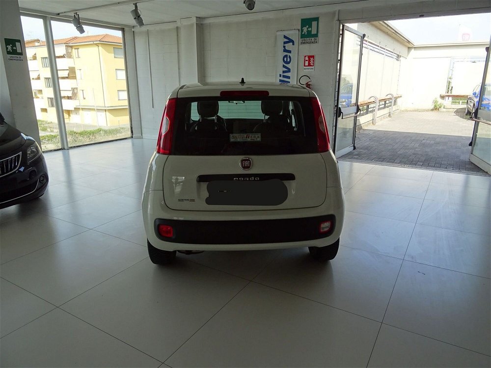 Fiat Panda 1.3 MJT 95 CV S&S Easy  del 2018 usata a Lucca (4)
