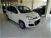 Fiat Panda 1.3 MJT 95 CV S&S Easy  del 2018 usata a Lucca (7)